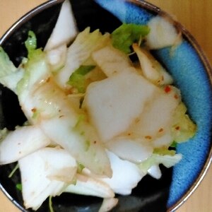 白菜の浅漬け　キムチ風味